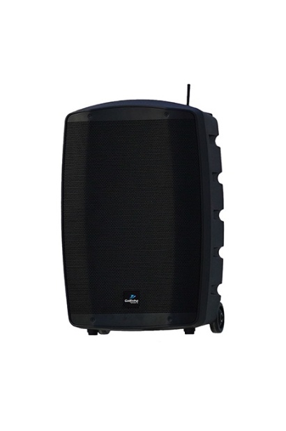 120W portatiivne helisüsteem mikrofoniga 120W